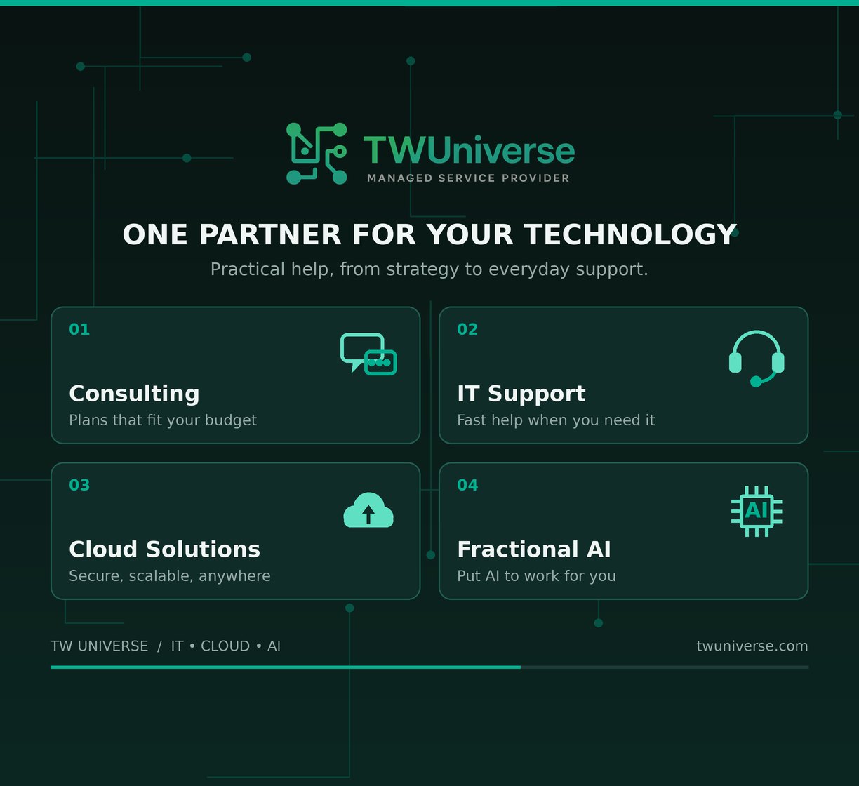TWUniverse services: consulting, IT support, cloud solutions and fractional AI